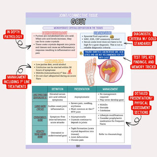 The Family Nurse Practitioner School Guide